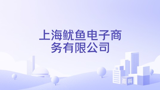上海鱿鱼电子商务有限公司