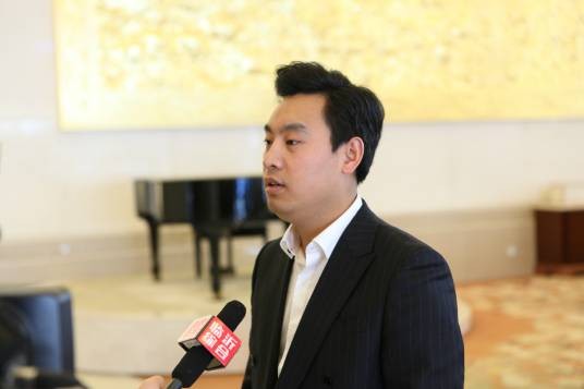 杨帆（华银金融控股集团董事长）