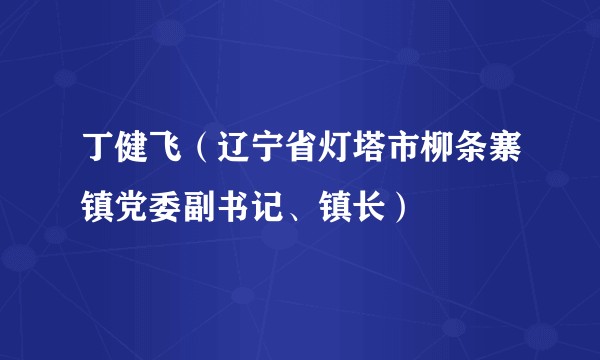 丁健飞（辽宁省灯塔市柳条寨镇党委副书记、镇长）