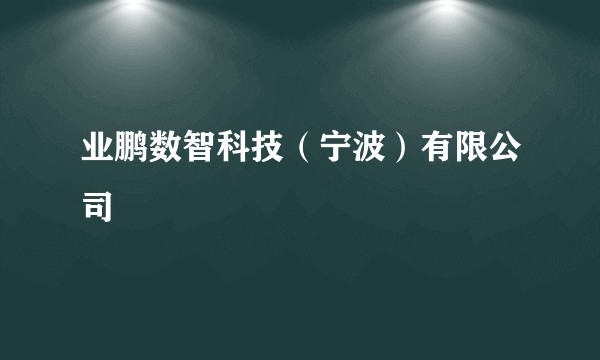 业鹏数智科技（宁波）有限公司