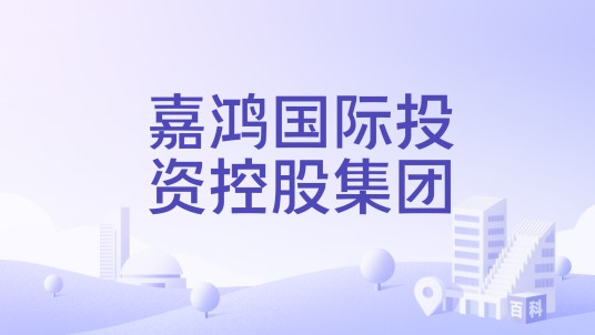 嘉鸿国际投资控股集团
