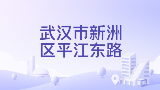 武汉市新洲区平江东路