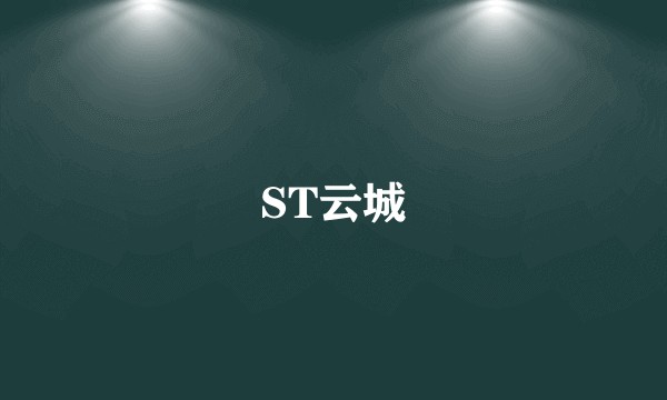 ST云城