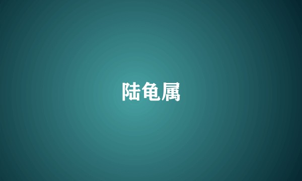陆龟属