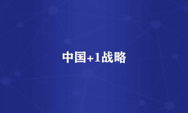 中国+1战略
