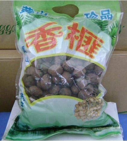 黟县香榧