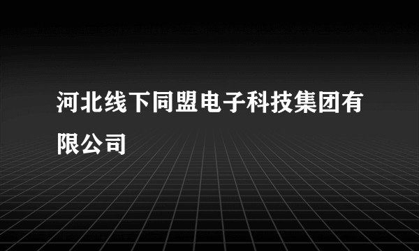 河北线下同盟电子科技集团有限公司