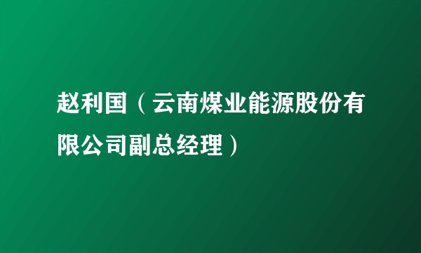 赵利国（云南煤业能源股份有限公司副总经理）