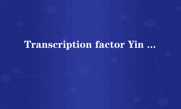 Transcription factor Yin Yang 2 is a novel regulator of the p53/p21 axis