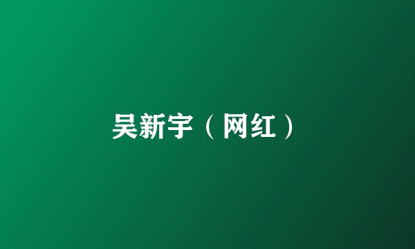 吴新宇（网红）