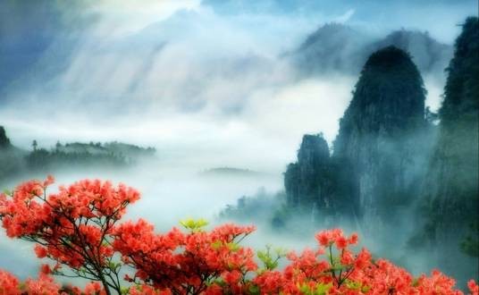 遂昌九龙山