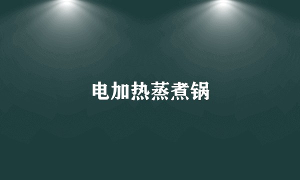 电加热蒸煮锅