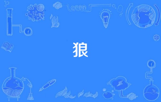 狼（徐林与胡海泉演唱的现场版歌曲）