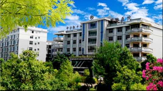 中方纯中医医院