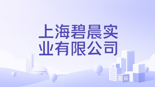 上海碧晨实业有限公司