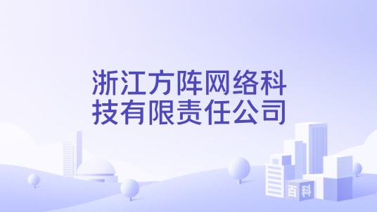 浙江方阵网络科技有限责任公司