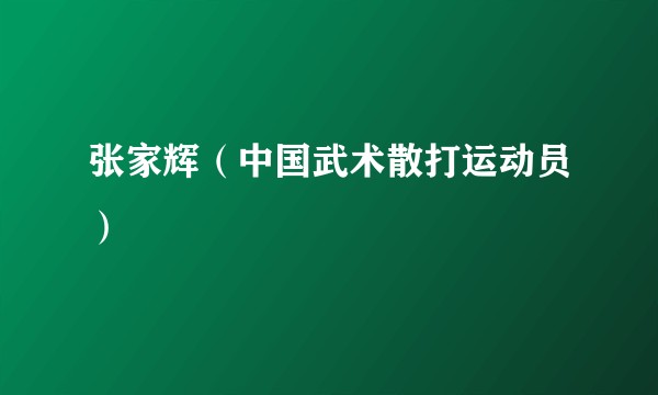 张家辉（中国武术散打运动员）