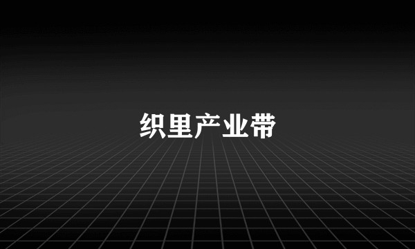 织里产业带