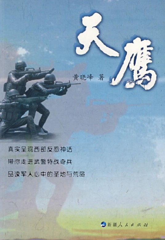 天鹰（2008年新疆人民出版社出版的图书）