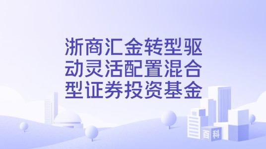 浙商汇金转型驱动灵活配置混合型证券投资基金