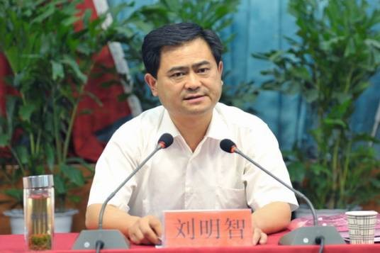 刘明智（原陕西省洛南县委副书记、县长）