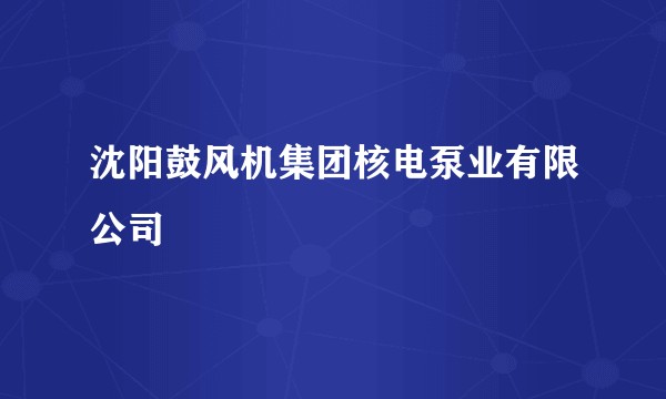 沈阳鼓风机集团核电泵业有限公司