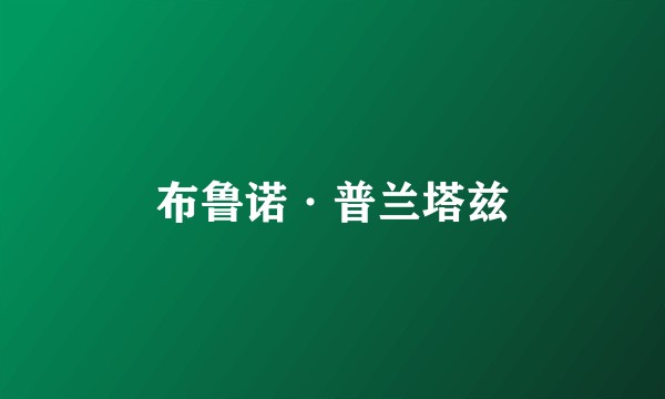 布鲁诺·普兰塔兹