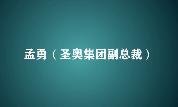 孟勇（圣奥集团副总裁）