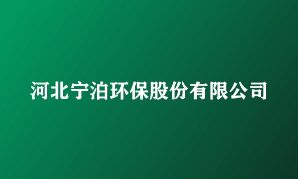 河北宁泊环保股份有限公司