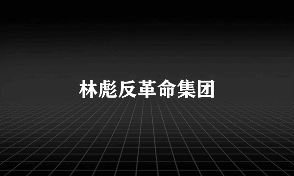 林彪反革命集团