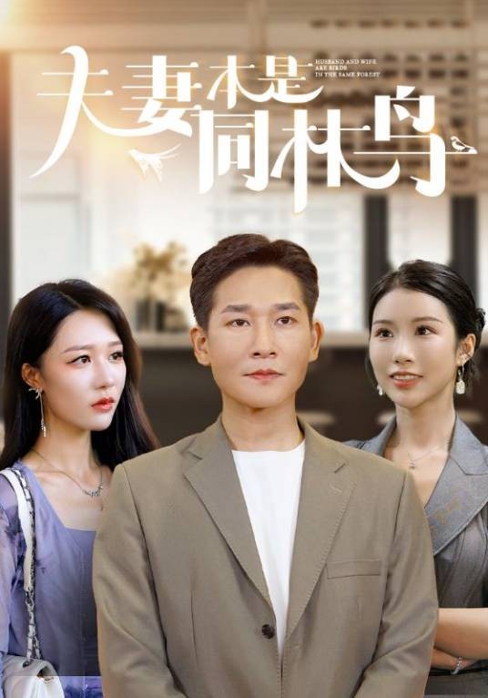 夫妻本是同林鸟（2023年北京点众快看科技有限公司制作的短剧）