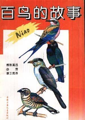 百鸟的故事