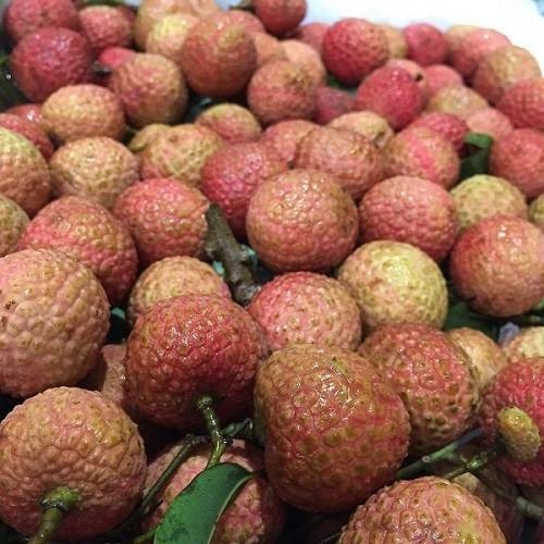 东莞荔枝
