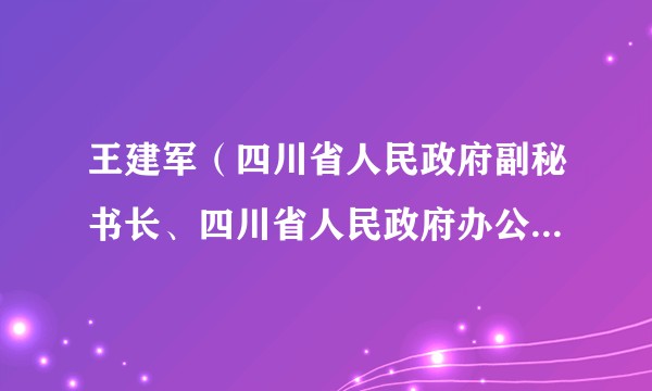 王建军（四川省人民政府副秘书长、四川省人民政府办公厅主任、党组副书记，四川省政务服务管理办公室主任）