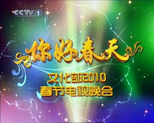 2010年文化部春节电视晚会