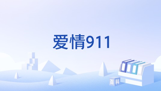 爱情911