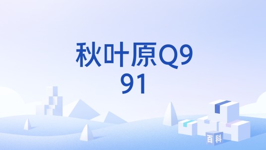 秋叶原Q991
