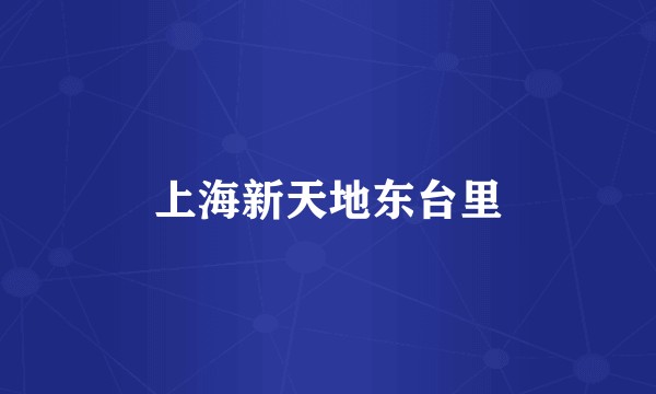 上海新天地东台里