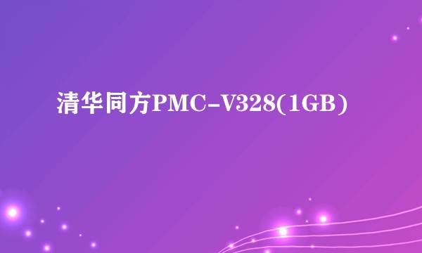 清华同方PMC-V328(1GB)
