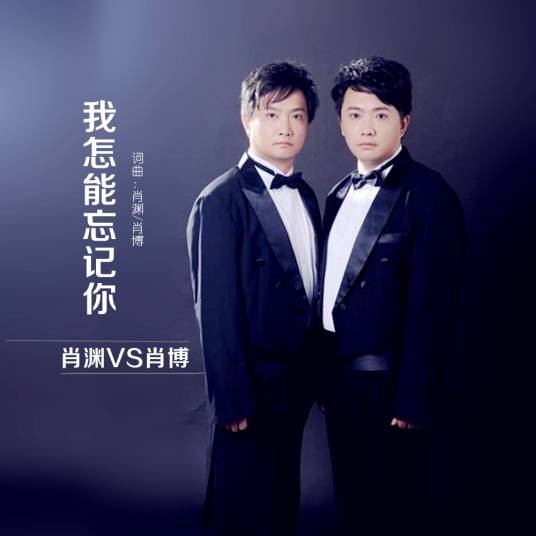 我怎能忘记你（肖渊/肖博演唱的歌曲）