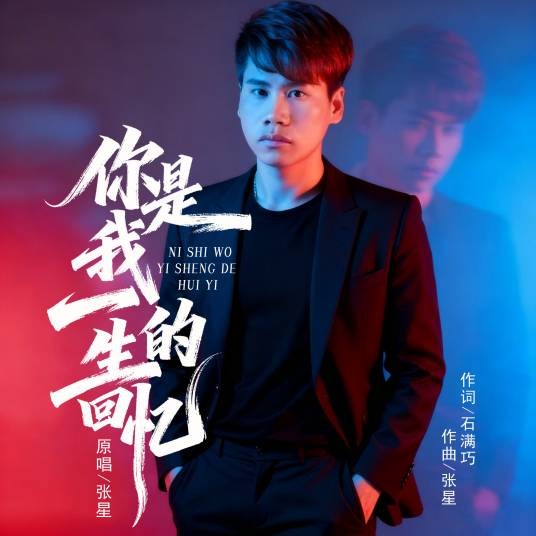 你是我一生的回忆