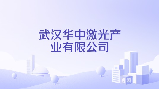 武汉华中激光产业有限公司
