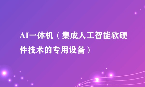 AI一体机（集成人工智能软硬件技术的专用设备）