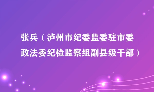 张兵（泸州市纪委监委驻市委政法委纪检监察组副县级干部）