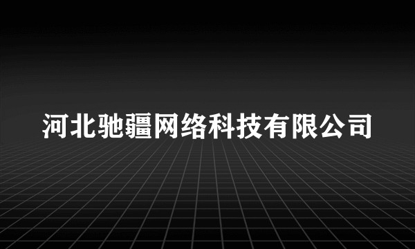 河北驰疆网络科技有限公司