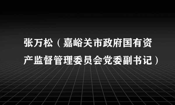张万松（嘉峪关市政府国有资产监督管理委员会党委副书记）