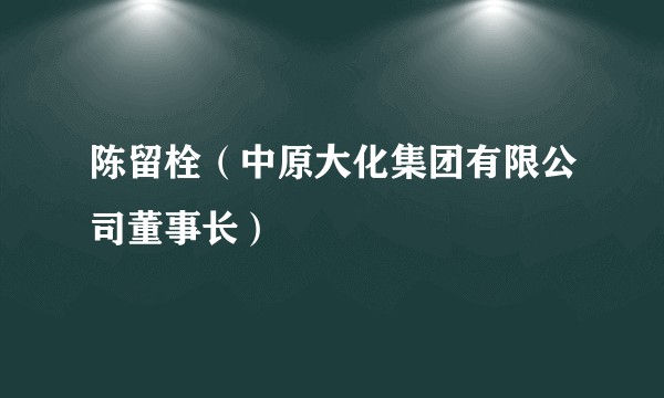 陈留栓（中原大化集团有限公司董事长）