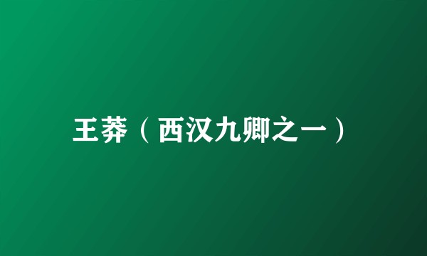 王莽（西汉九卿之一）