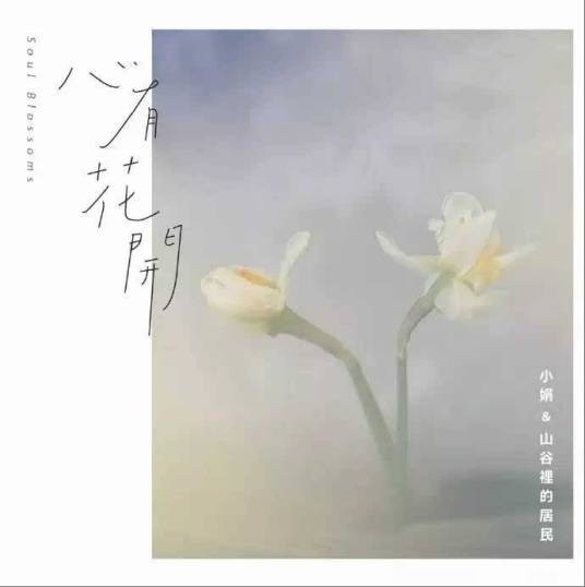 心有花开（2016年小娟与山谷里发行的居民专辑）