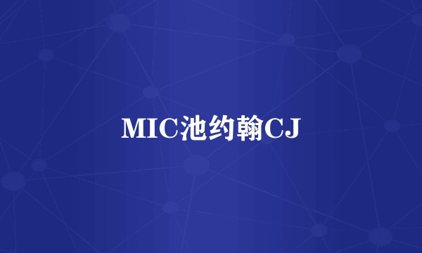 MIC池约翰CJ